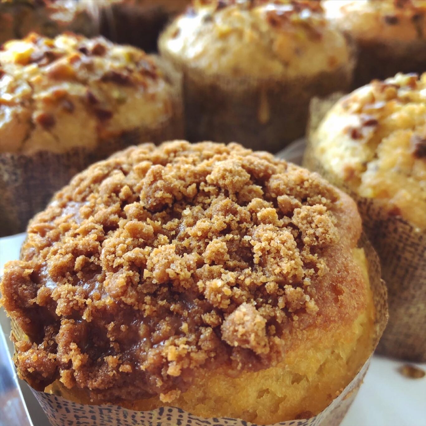 muffin