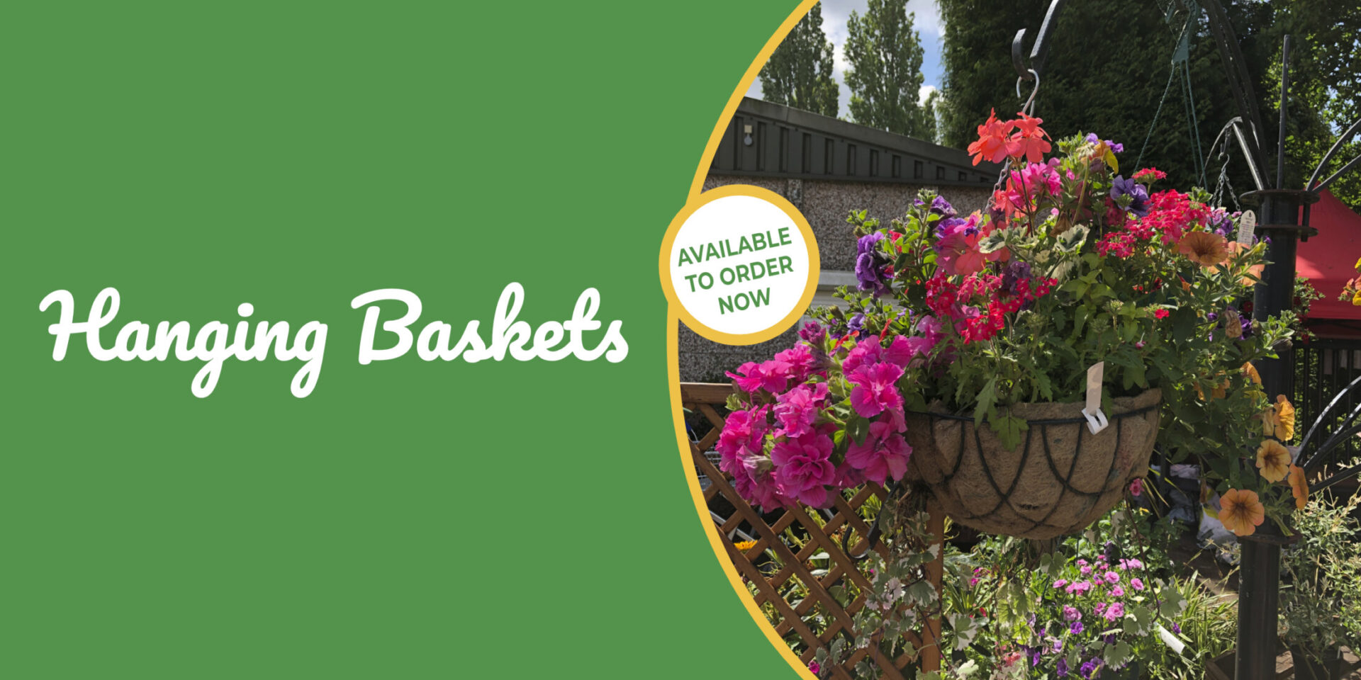 hanging baskets
