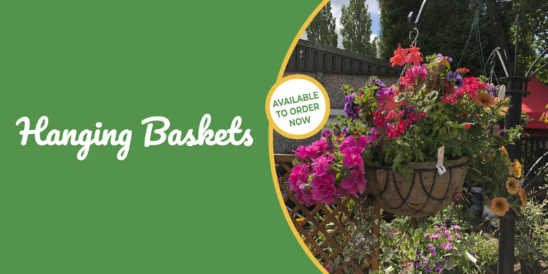 hanging baskets