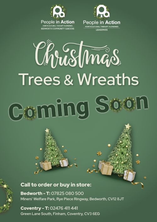 christmas poster for everything