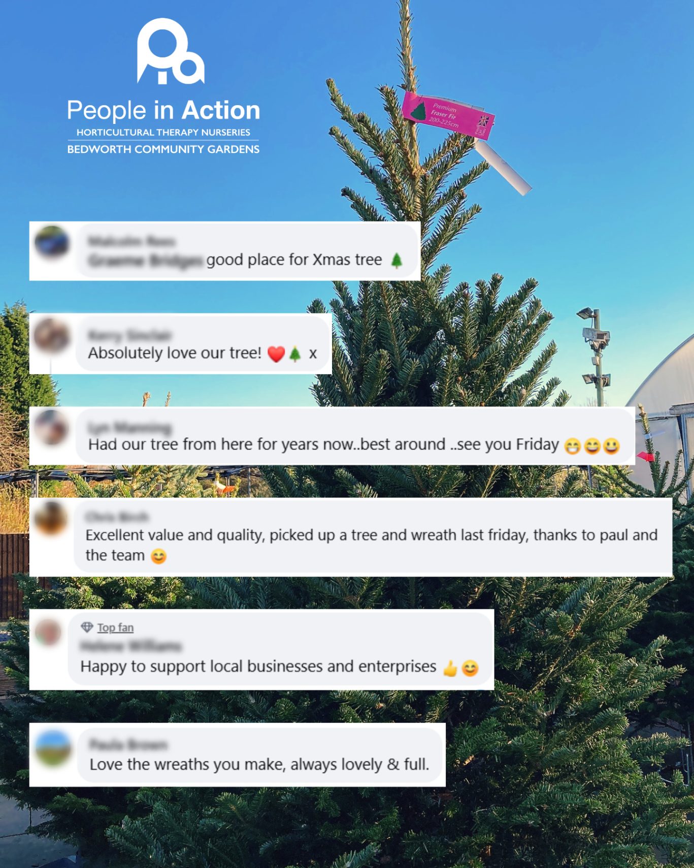 trees and wreaths reviews